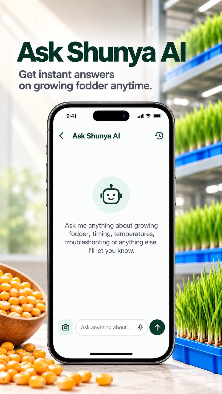 Ask Shunya AI chat screen